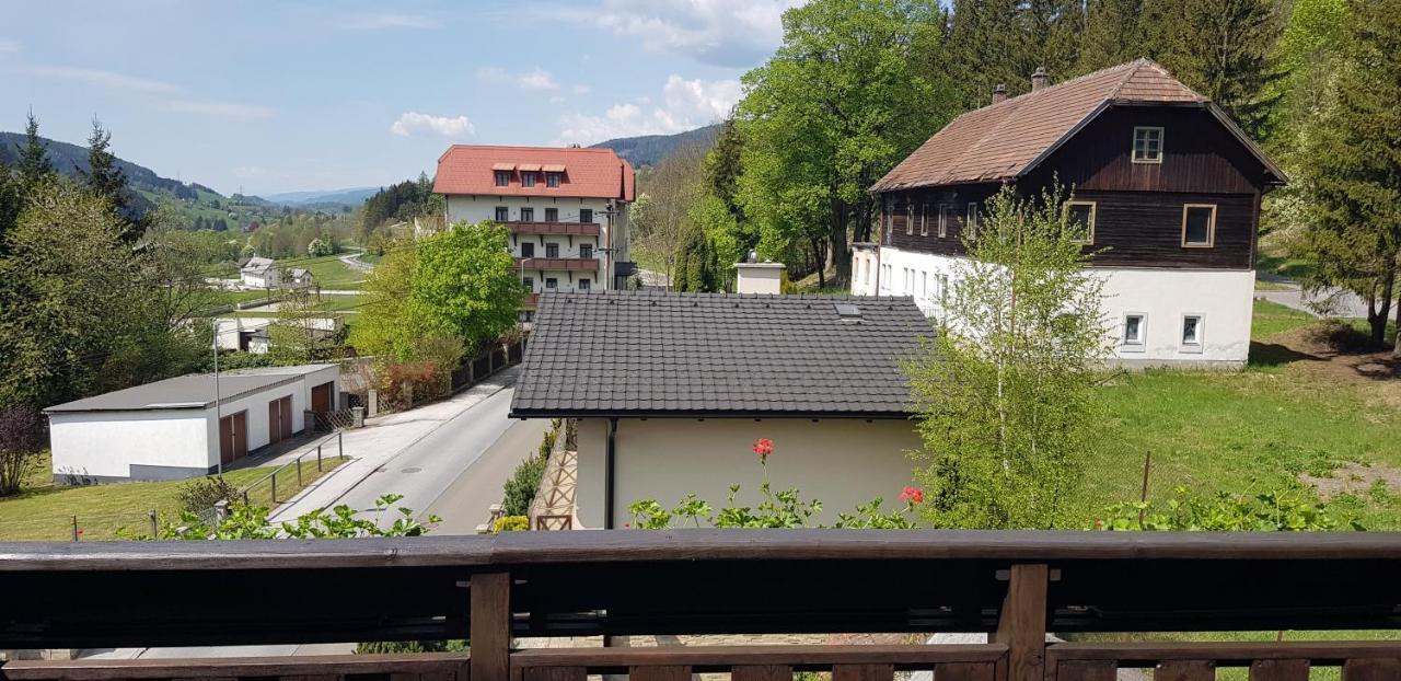 Haus Elena Am Semmering Steinhaus am Semmering Extérieur photo